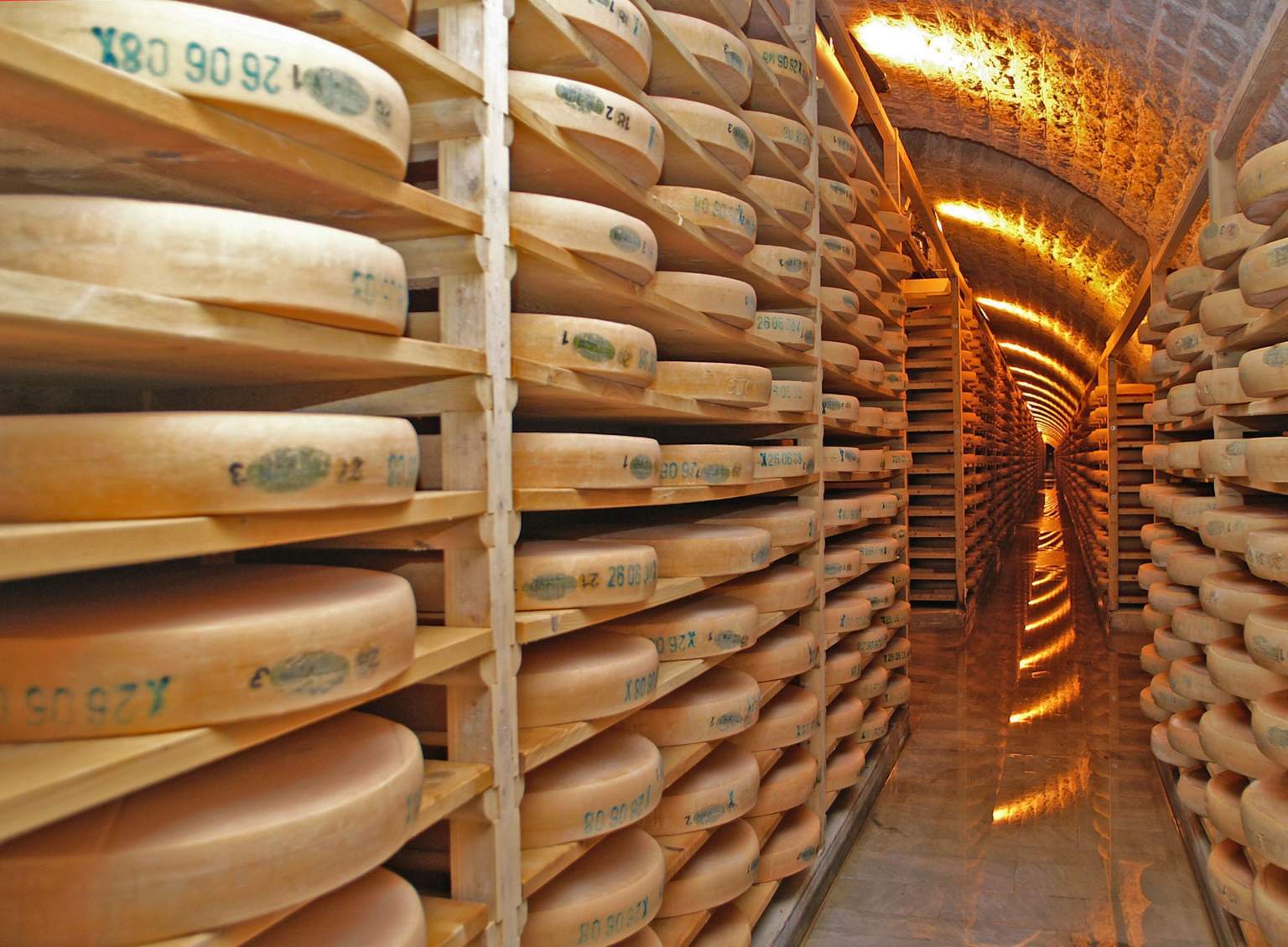 Comté cheese production - Maturing cellar
