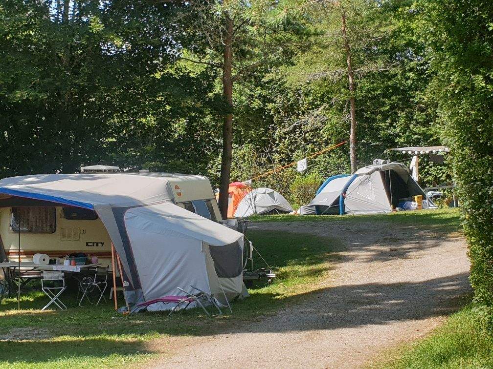 Standplaats voor tenten op een mooi groen plekje